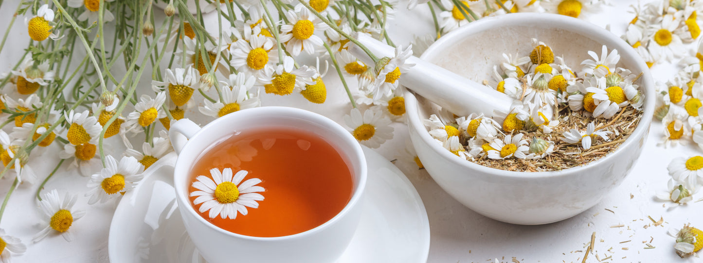 KAMOMIN / KAMOMIY (Chamomile)